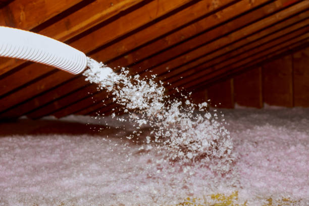 Best Insulation Inspection Services  in West Glendive, MT